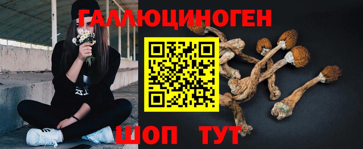 Псилоцибиновые грибы ЛСД Фурманов