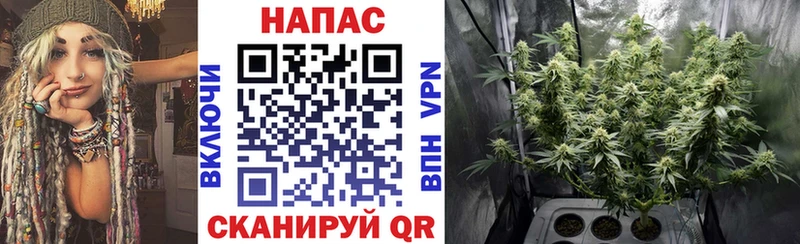 Канабис семена  Фурманов 